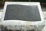 urato9