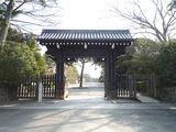 hamagu2