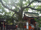 takenobu6