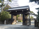 hamagu1