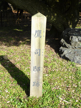 hamagu4