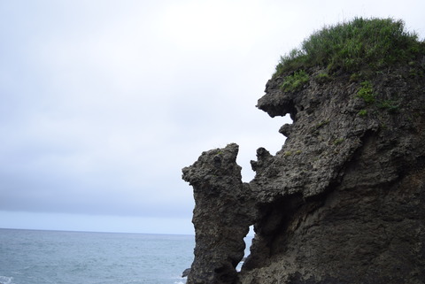 DSC_1972
