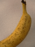 BANANA.GIF