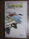 山野の鳥