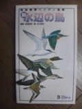水辺の鳥