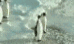 °ì½ï¤ËÄÀ¤à