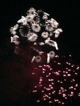 花束花火
