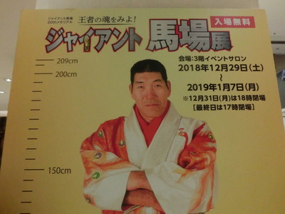 CIMG8341