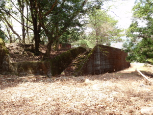 20100414_113809022