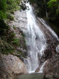 20100526_140703030