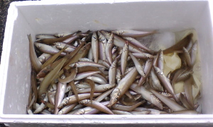 20100530_122358002