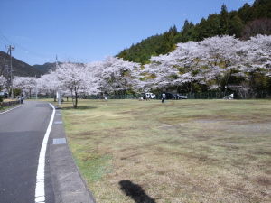 20110410_114551001