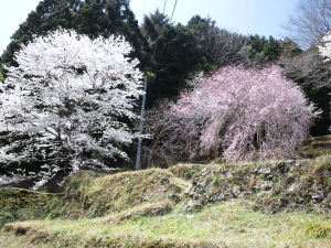 20110410_114730003