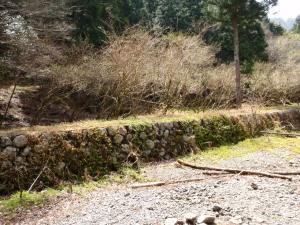 20100414_110333017