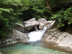 20100526_125529024