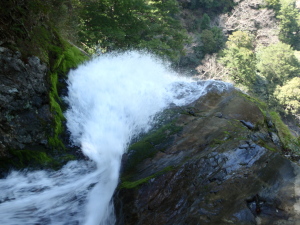 20100414_130632041