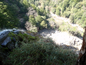 20100414_130751042