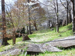 20110410_144105008