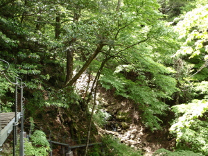 20100526_124006020