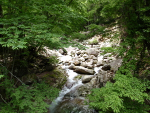 20100526_111318005