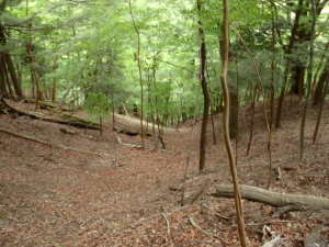 20100526_122656019