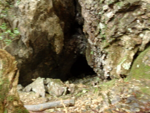 20100526_141254033
