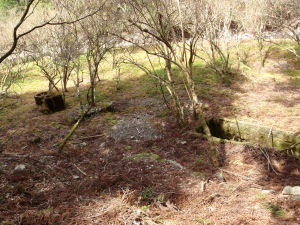 20100414_105859014