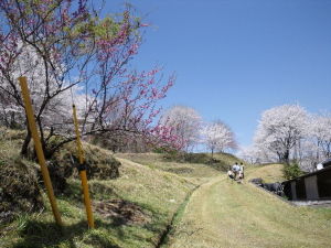 20110410_114747004