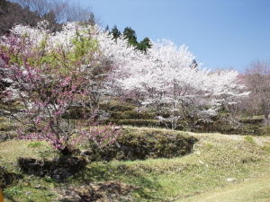 20110410_114833005