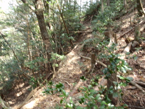 20100414_123154036
