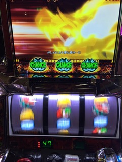 IMG_2814