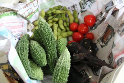 野菜1