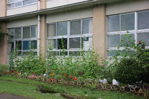 保健室前リサイズ
