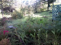 201108081
