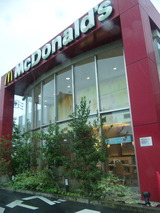 065c1d99.jpg