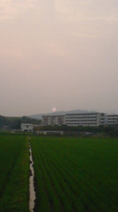 DSC02029