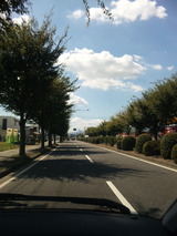 1c90c866.jpg