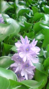 f027f6a9.jpg