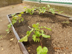 DSCN0079