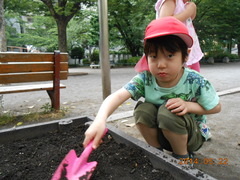 DSCN9481