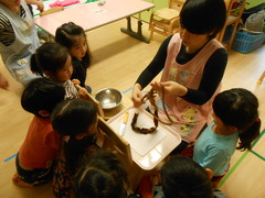 DSCN0194