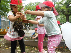 DSCN9463