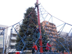 DSCN0620