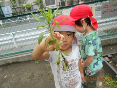 DSCN9449