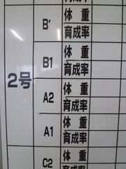 ビフォアー(修正箇所)
