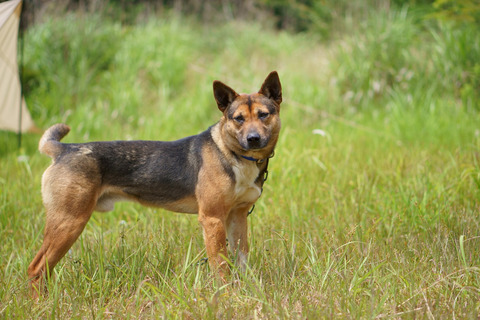7d29c998-s.jpg