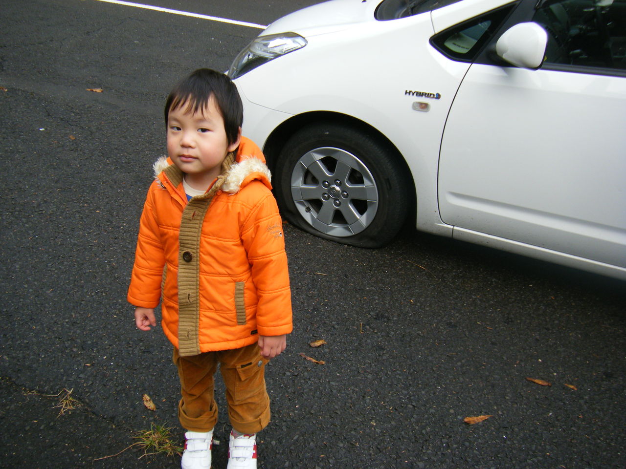 DSCF3085