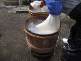 �ƤȤ���1��