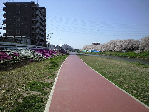 4月12日北越谷元荒川4
