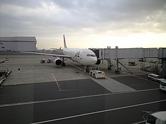 CA390003